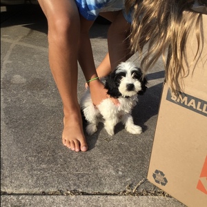 Fundraising Page: Graham Panik